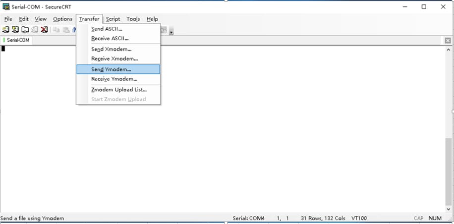 Screenshot of a terminal application showing a firmware update in progress for the iBodyinfo module using the Ymodem transfer protocol.